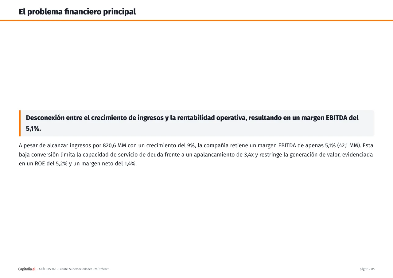 Página 17 del ejemplo