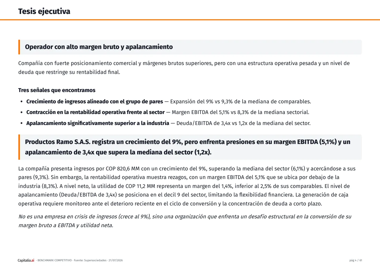 Página 5 del ejemplo